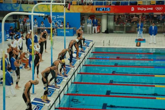 Picture of swimmers on the starting blocks.