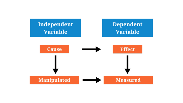 Dependent Variable - Glossary Term Illustration