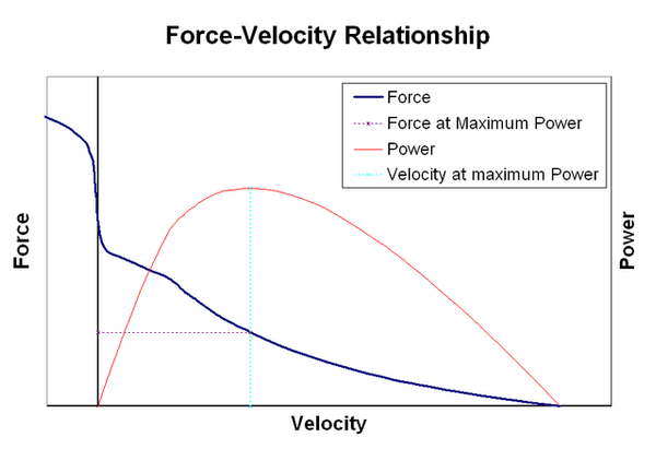 Force Velocity Curve - Glossary Term Illustration