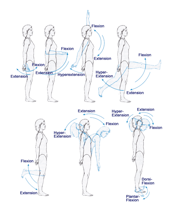 Osteokinematic Motion - Glossary Term Illustration