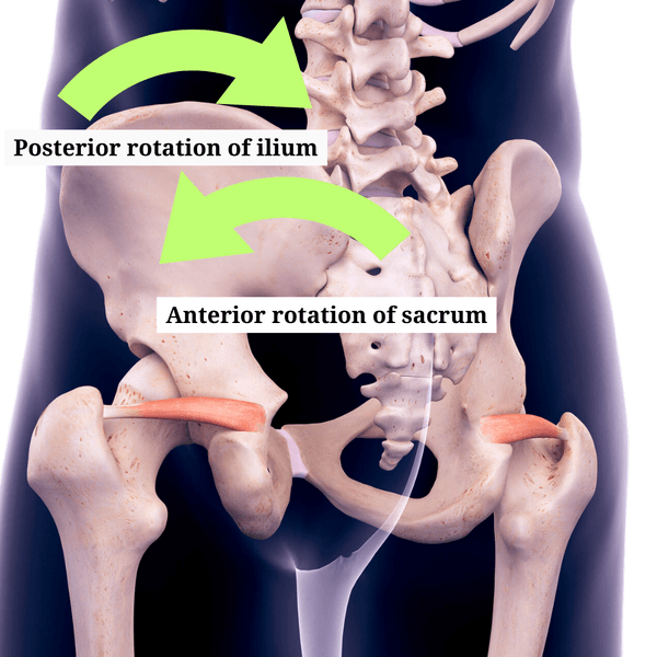 Nutation - Glossary Term Illustration