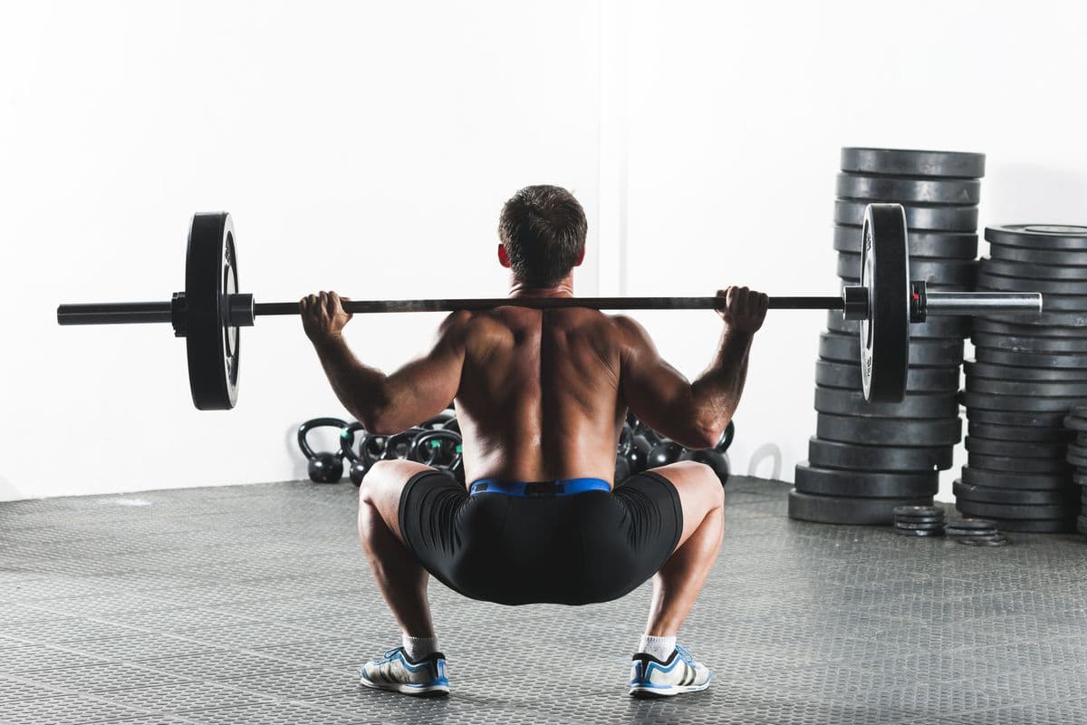 Hip Anatomy and Squat Form