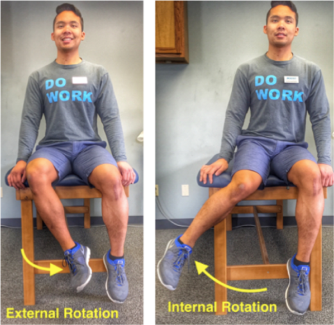 Seated hip internal and external rotation. 