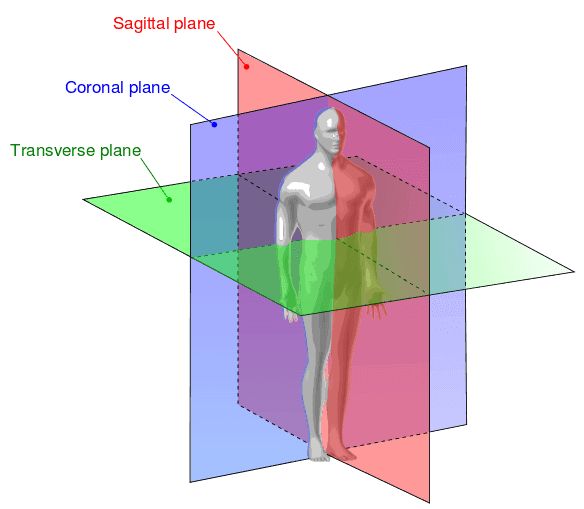 Lesson 2: Planes of Motion