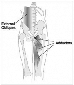Anterior oblique subsystem (AOS)