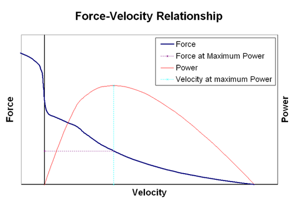 Force Velocity Curve Thumbnail