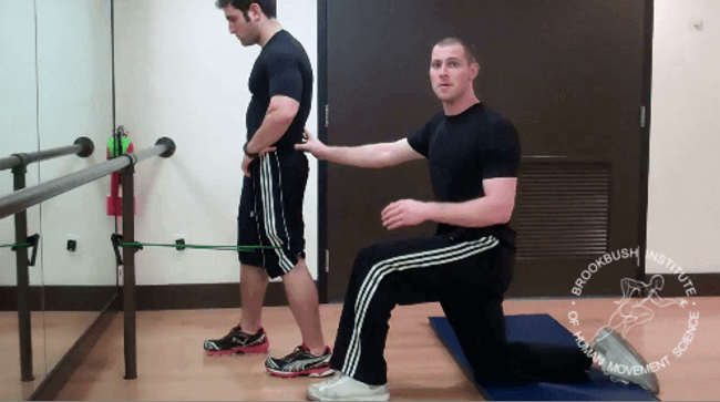 VMO activation exercise (terminal knee extension exercise)
