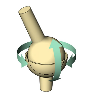 Ball and socket joint displaying a large range of motion 