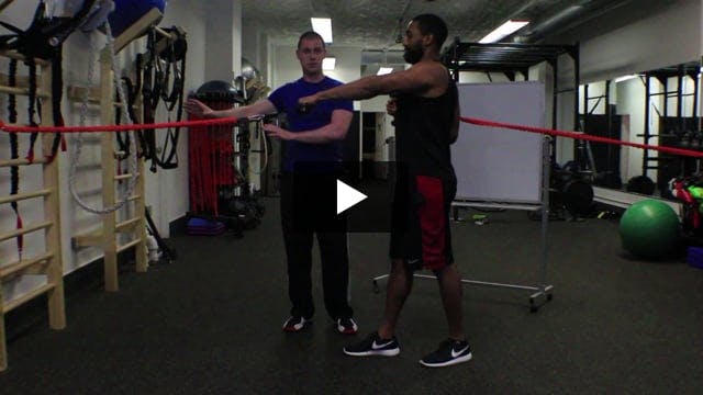 Core Anti-rotation - Opposing Chest Press and Row