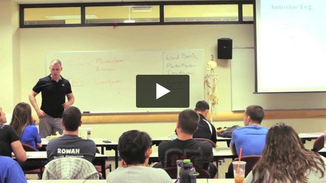 Muscles of the Lower Leg: Video #17 of Introduction to Functional Anatomy