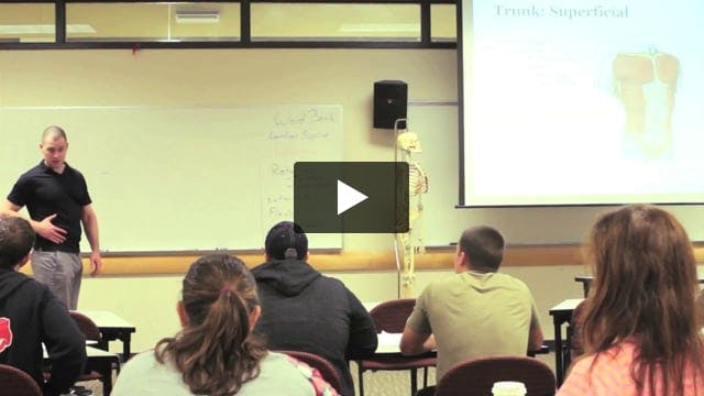 Muscles of the Trunk: Video #19 of Introduction to Functional Anatomy