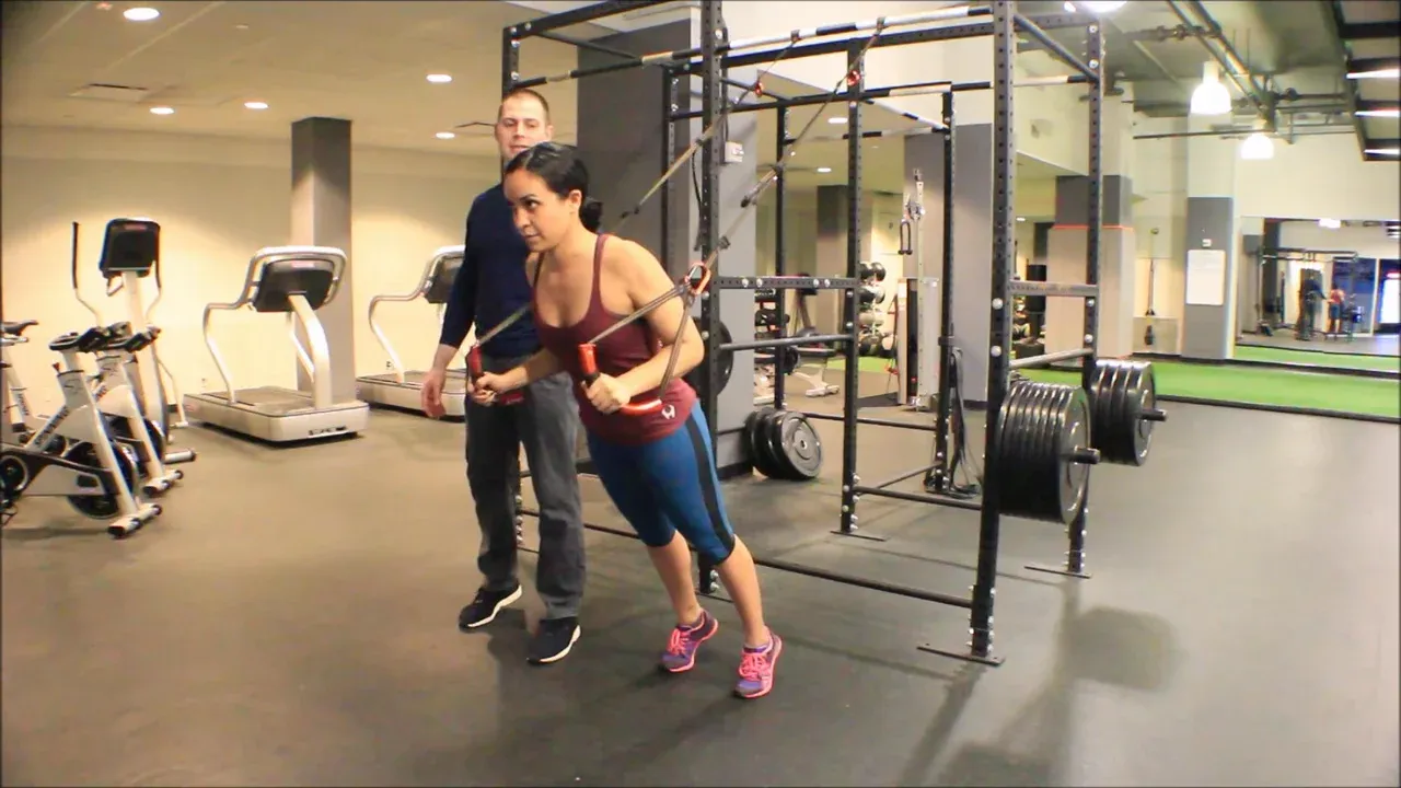Transference Exercise Suspension Weight Transfer Push Up - Brookbush Institute
